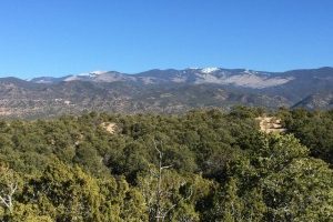 325-Pawprint-Trail-Lot-132-Santa-Fe-New-Mexico-homesantafecom-Paul-McDonald 325-Pawprint-Trail-Lot-132-Santa-Fe-New-Mexico-homesantafecom-Paul-McDonald