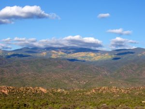 New Mexico Fall Foliage